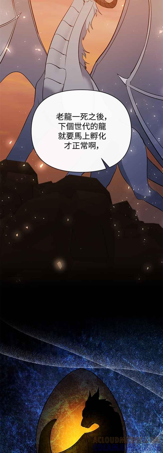 《北部大公竟然是幕后黑手》第87话 第46页