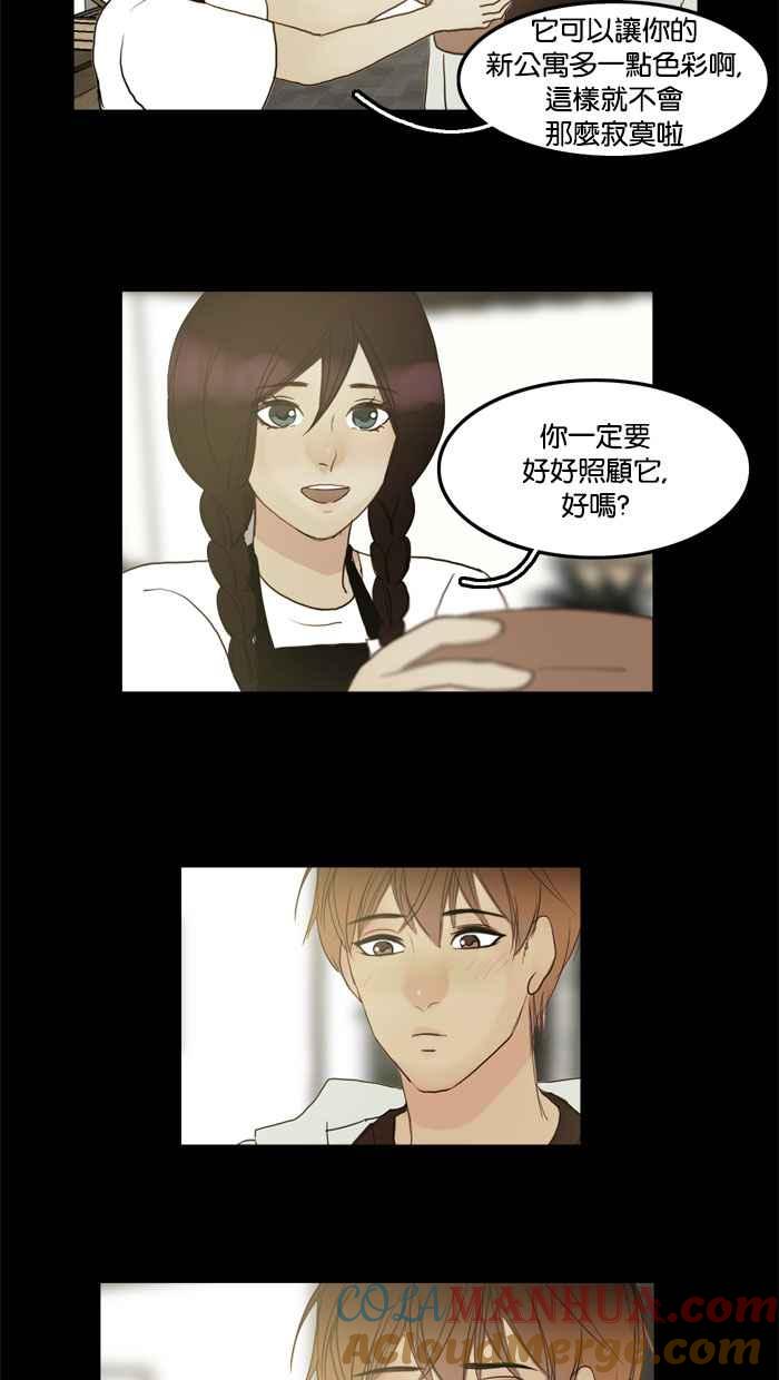 《人鱼哀曲》[第53话] 心花怒放 第13页