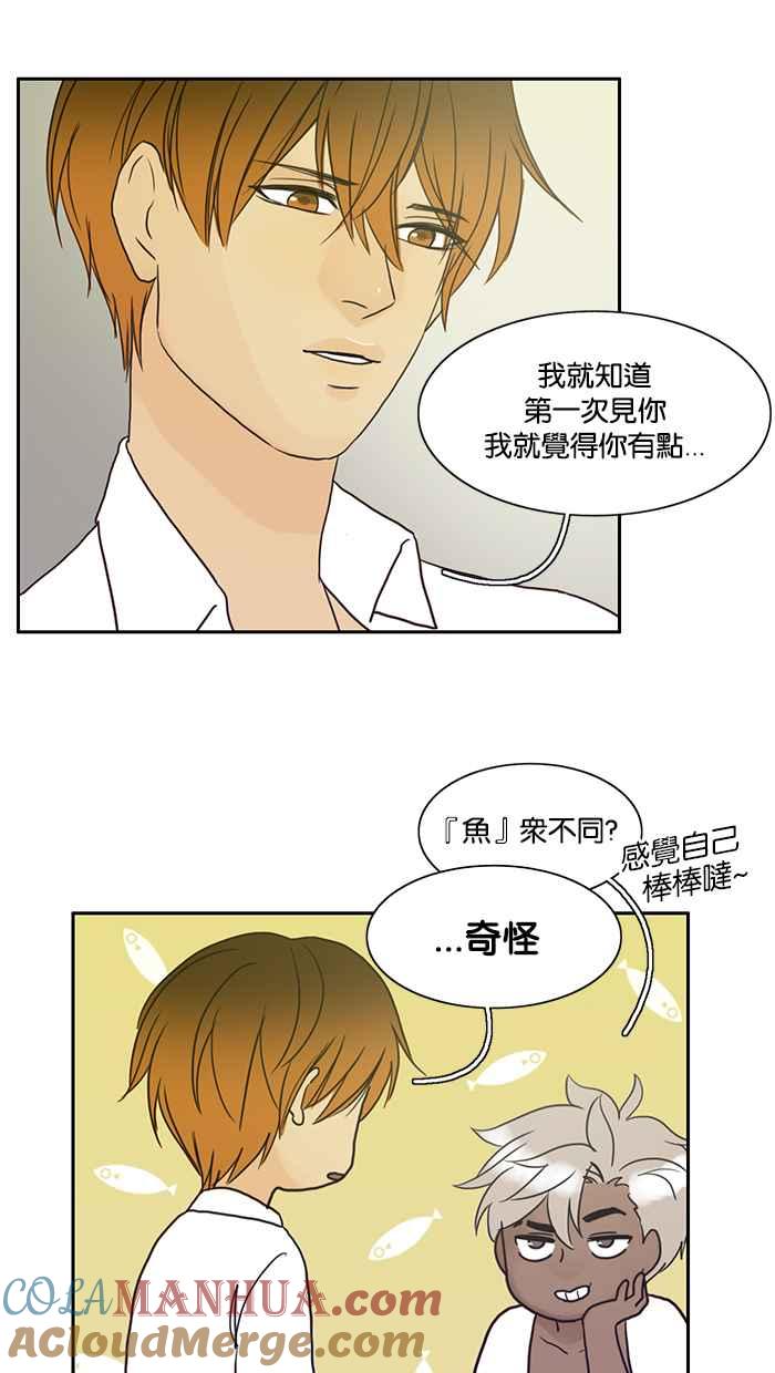 《人鱼哀曲》[第73话] 摊牌 第19页