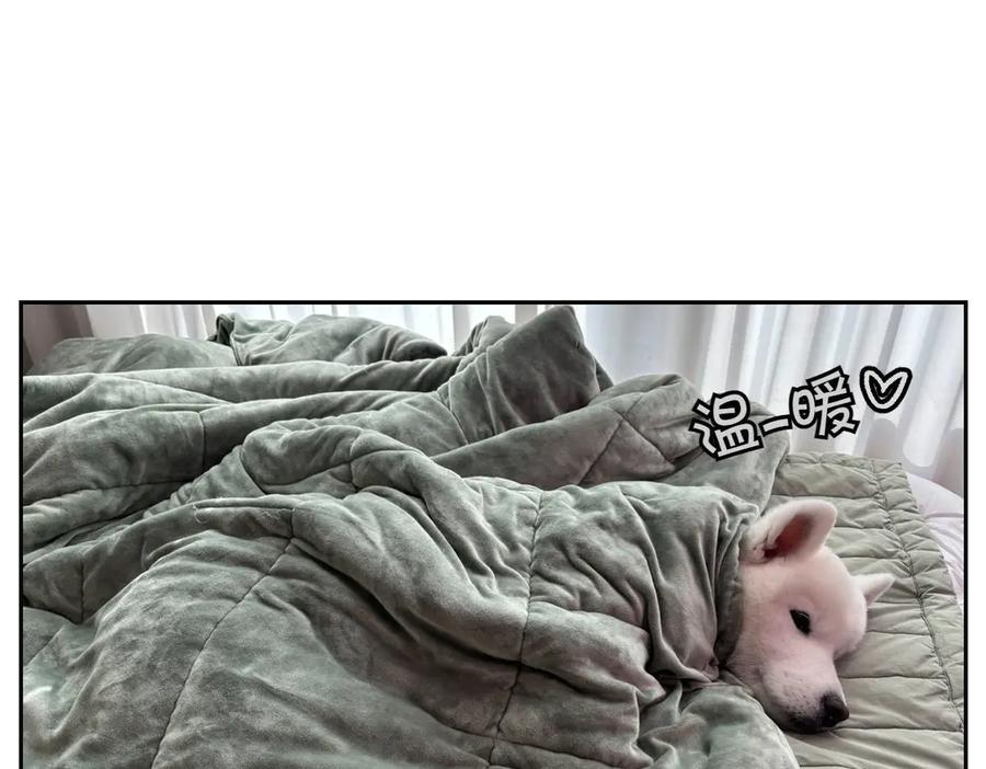 《我的狗子叫棉花》第54话 一起在床上睡吧 第48页