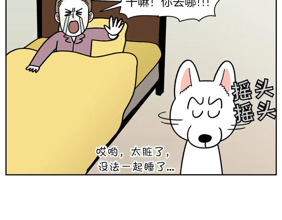 《我的狗子叫棉花》第54话 一起在床上睡吧 第45页