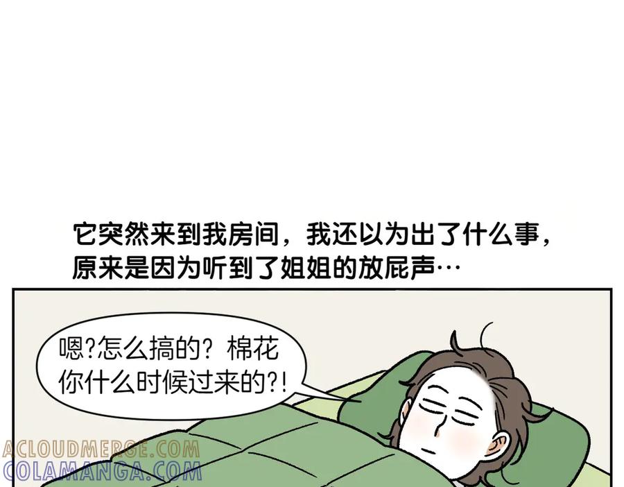 《我的狗子叫棉花》第54话 一起在床上睡吧 第46页