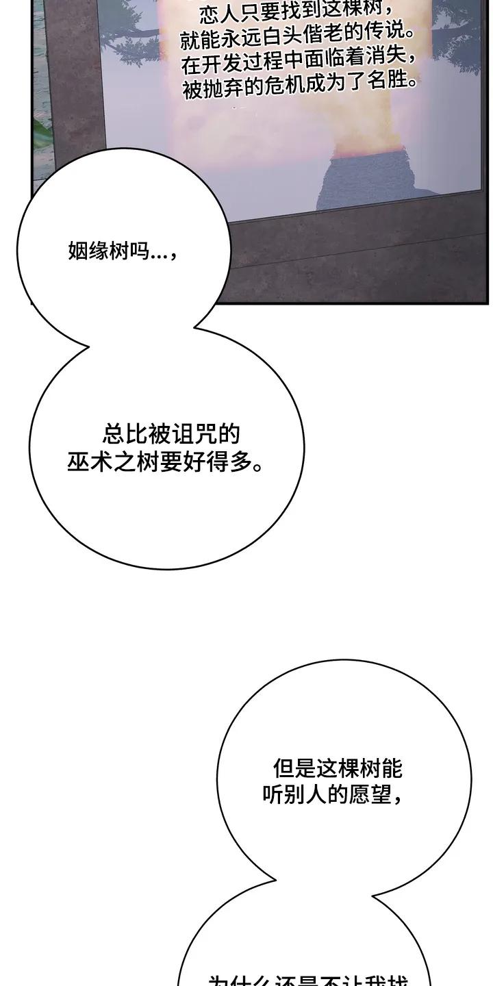 《雪落无声》第24章：我来晚了【完结】 第4页