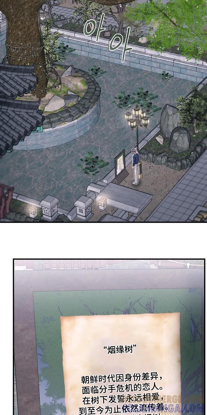 《雪落无声》第24章：我来晚了【完结】 第3页