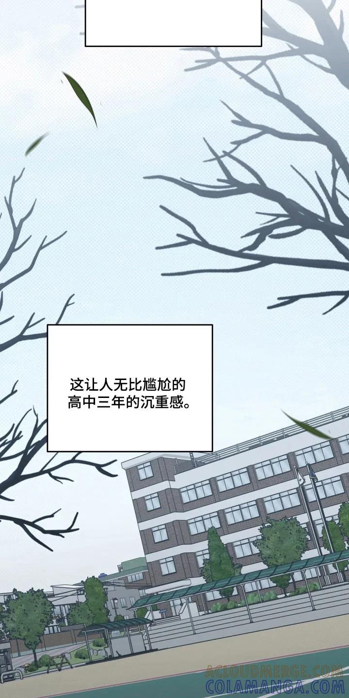 《忧郁的视线》第72章：单恋有效期 第13页