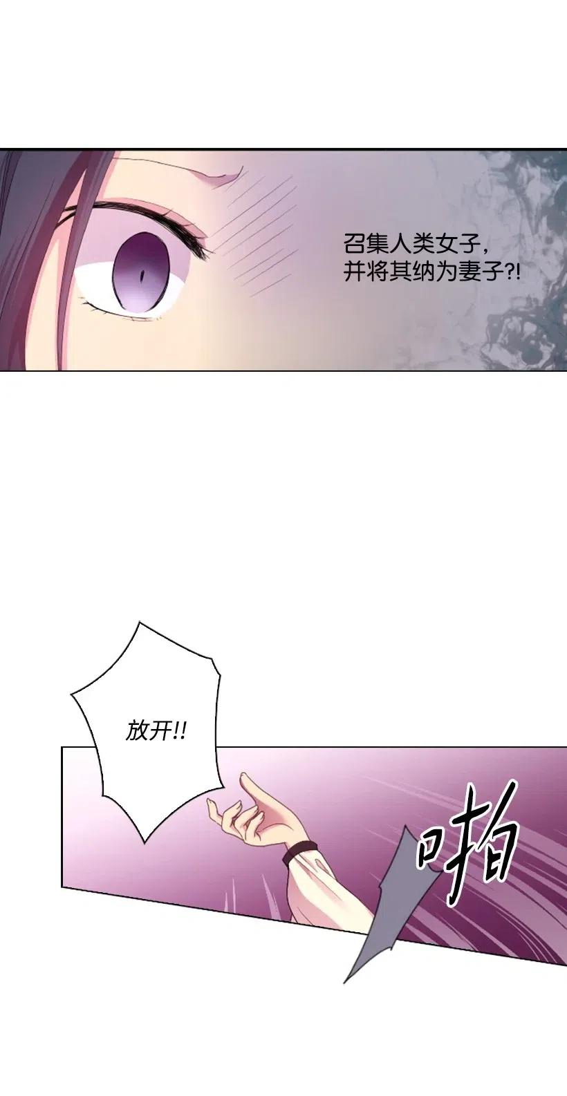 《王的贡女》9 决斗 第4页