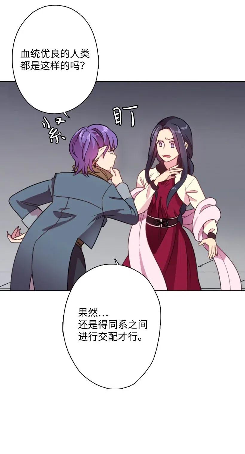 《王的贡女》9 决斗 第14页