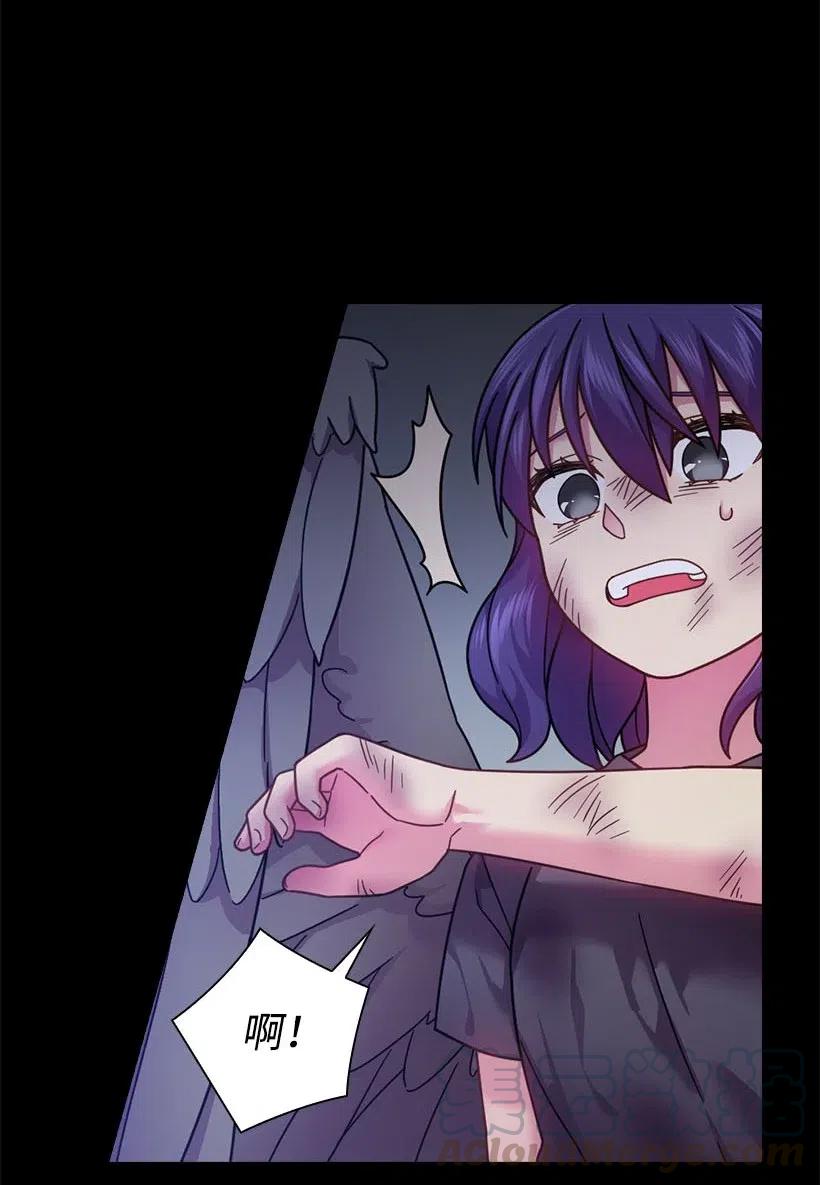 《王的贡女》103 趣事 第9页
