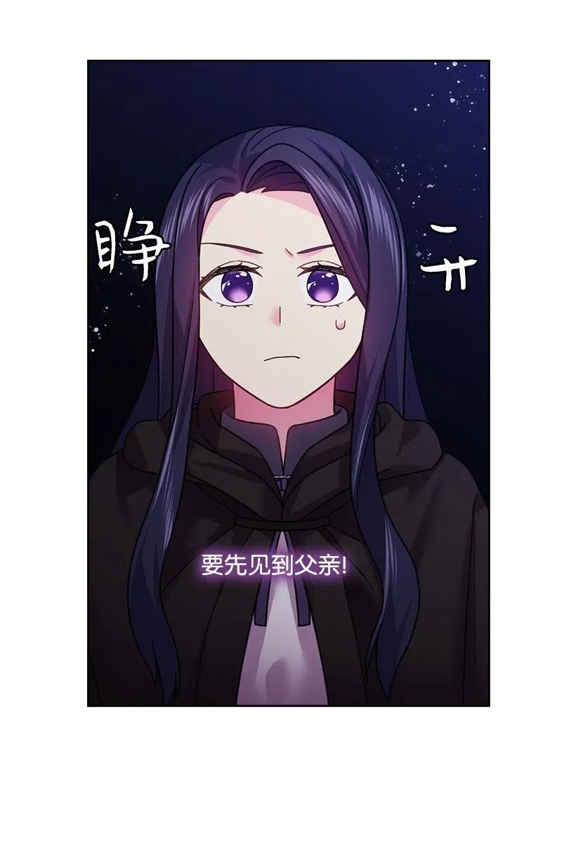 《王的贡女》105 偷偷潜入自己家 第47页
