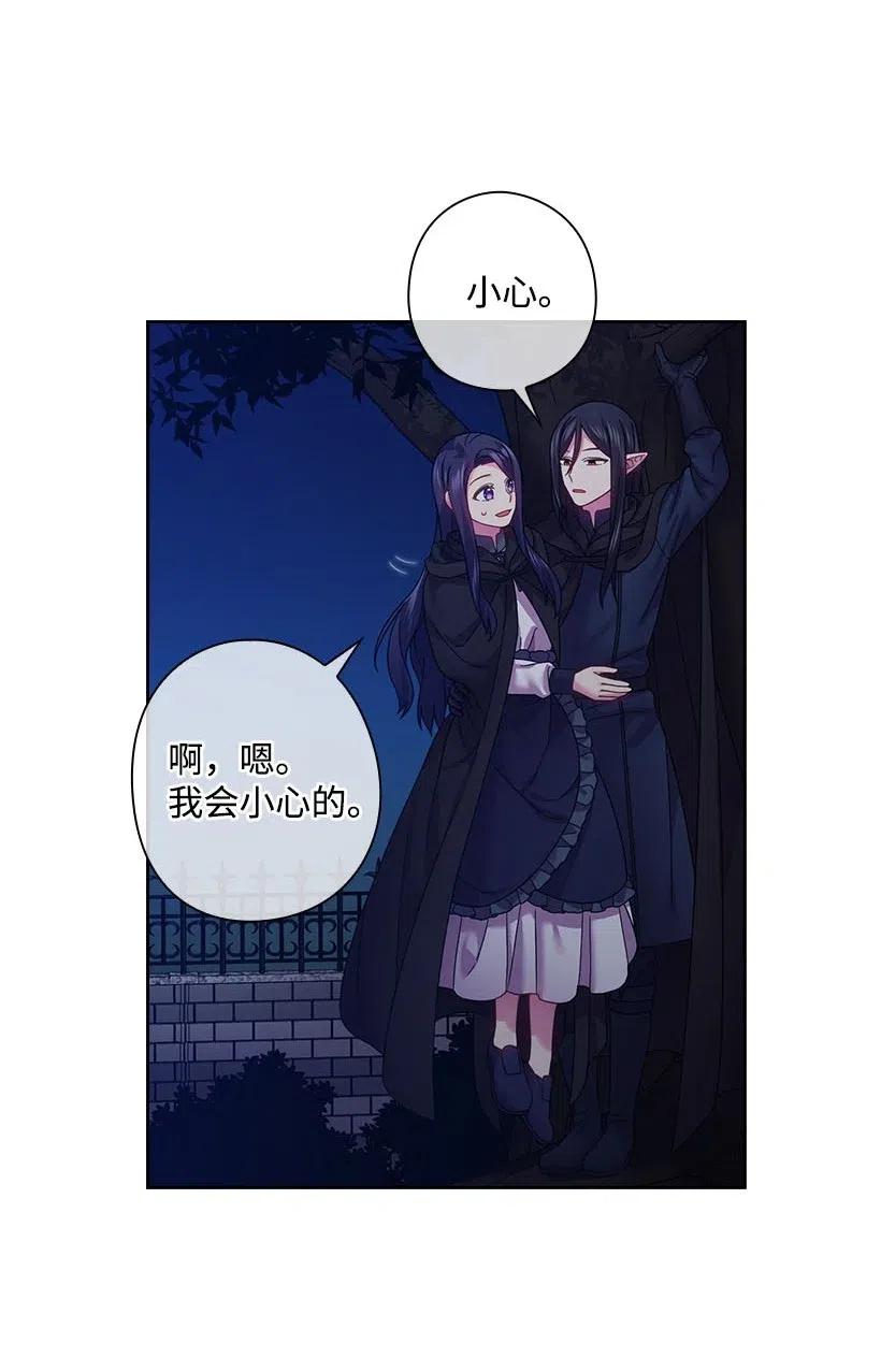 《王的贡女》105 偷偷潜入自己家 第27页