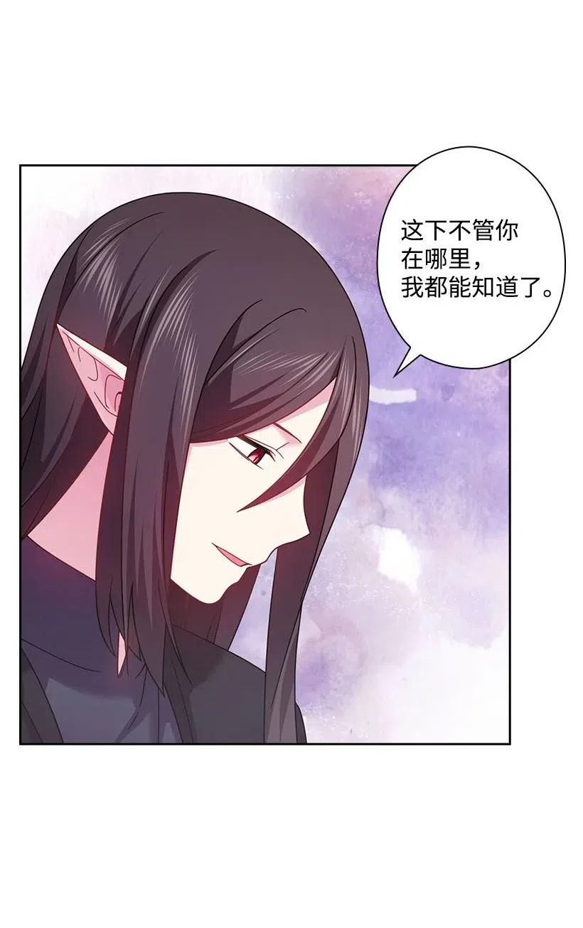 《王的贡女》129 契约的印章 第29页