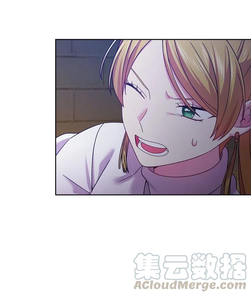 《王的贡女》133 都怪尤利亚丁大人 第27页