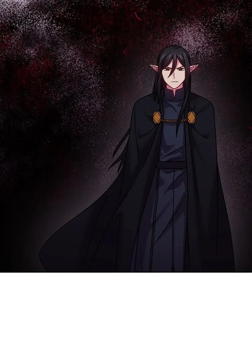 《王的贡女》136 魔王回来了 第41页