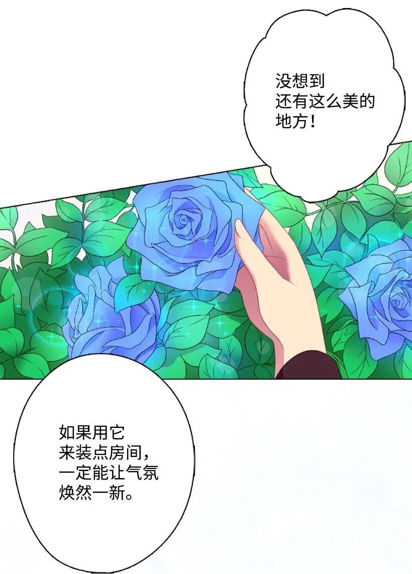 《王的贡女》13 魔界的历史 第46页