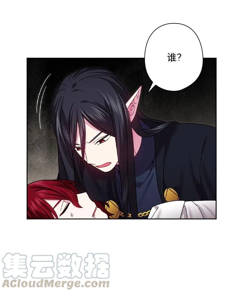 《王的贡女》141 人魔混血 第31页