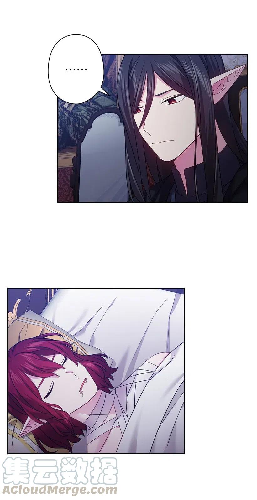 《王的贡女》141 人魔混血 第25页