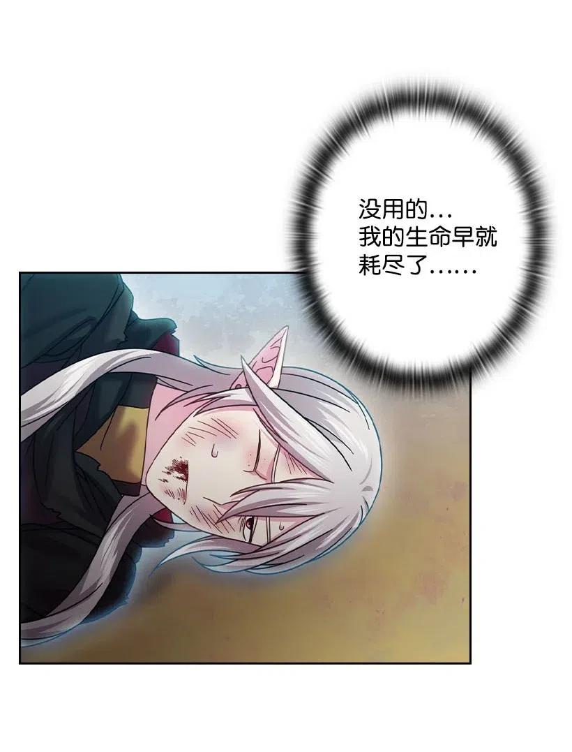 《王的贡女》142 拷问 第51页