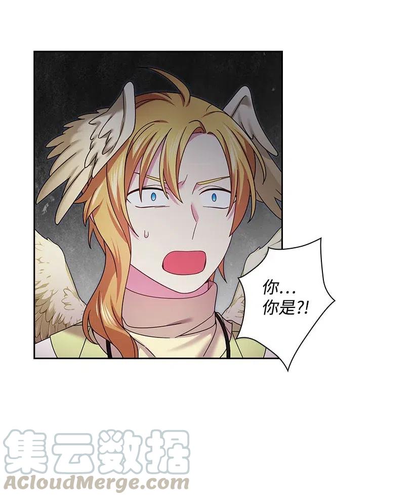 《王的贡女》143 我已经什么都没有了 第28页