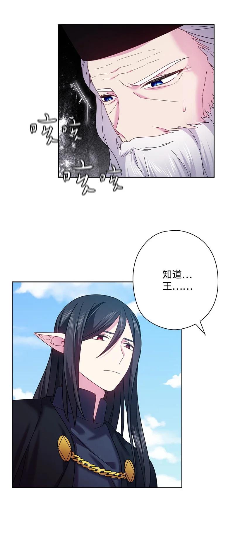 《王的贡女》147 调教亚洛特 第12页