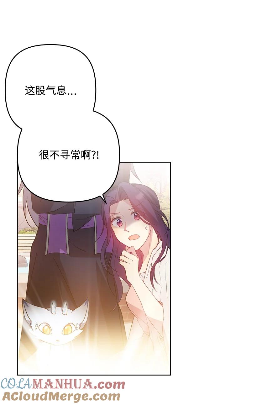 《王的贡女》番外5 召唤精灵 第34页
