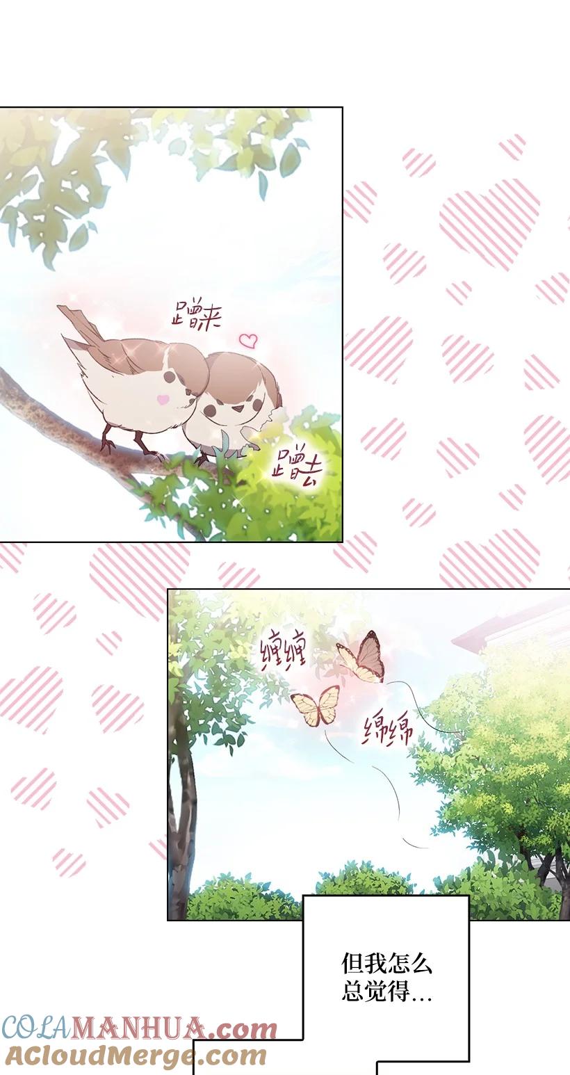 《王的贡女》番外11 命定之人 第13页