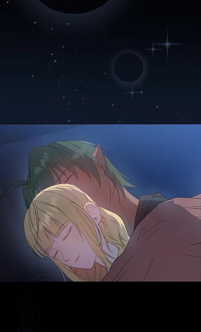 《王的贡女》番外19 偷偷出发 第3页