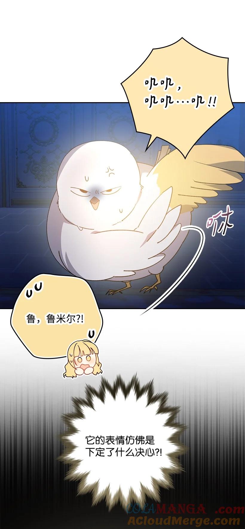 《王的贡女》番外20 开始行动 第23页
