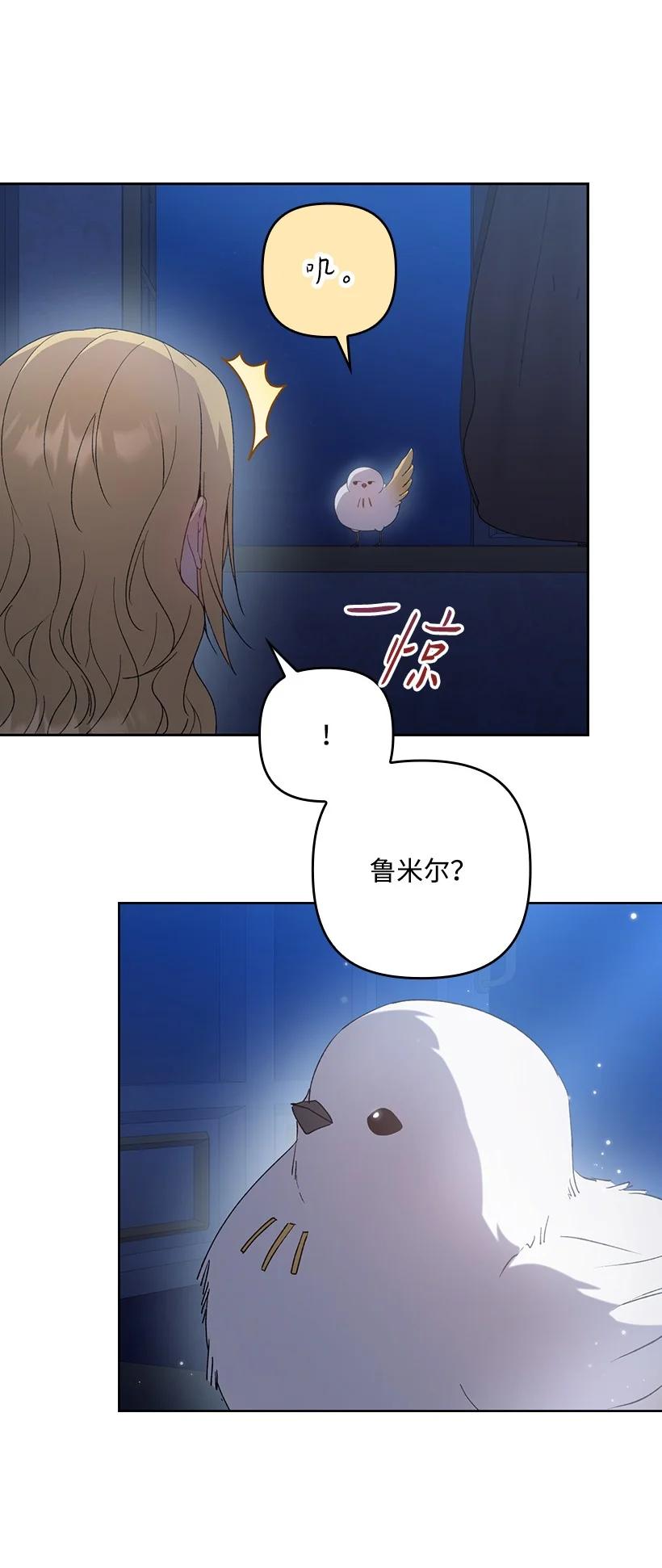《王的贡女》番外20 开始行动 第10页