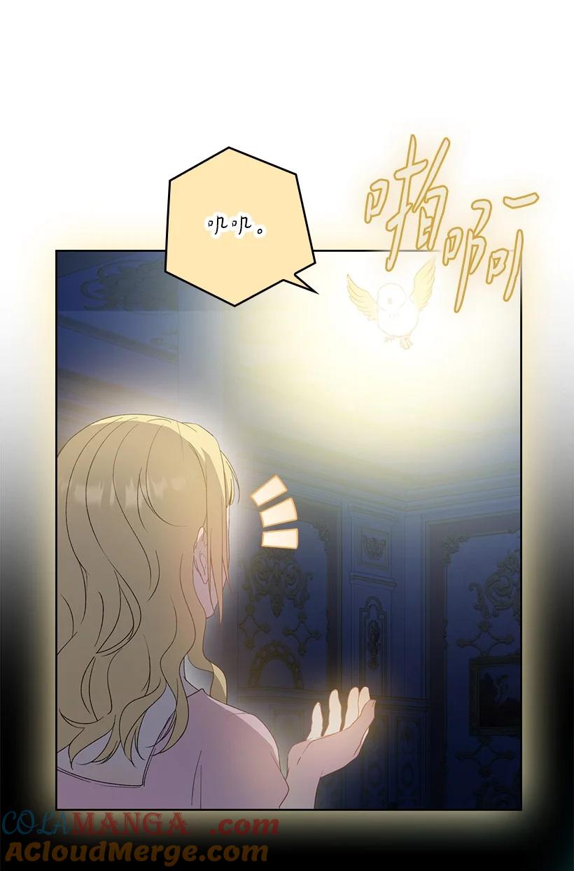 《王的贡女》番外20 开始行动 第14页