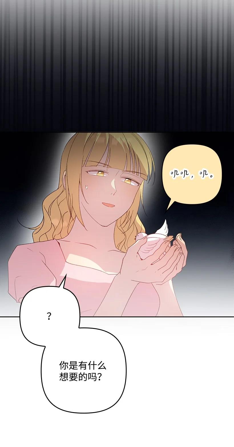 《王的贡女》番外20 开始行动 第12页