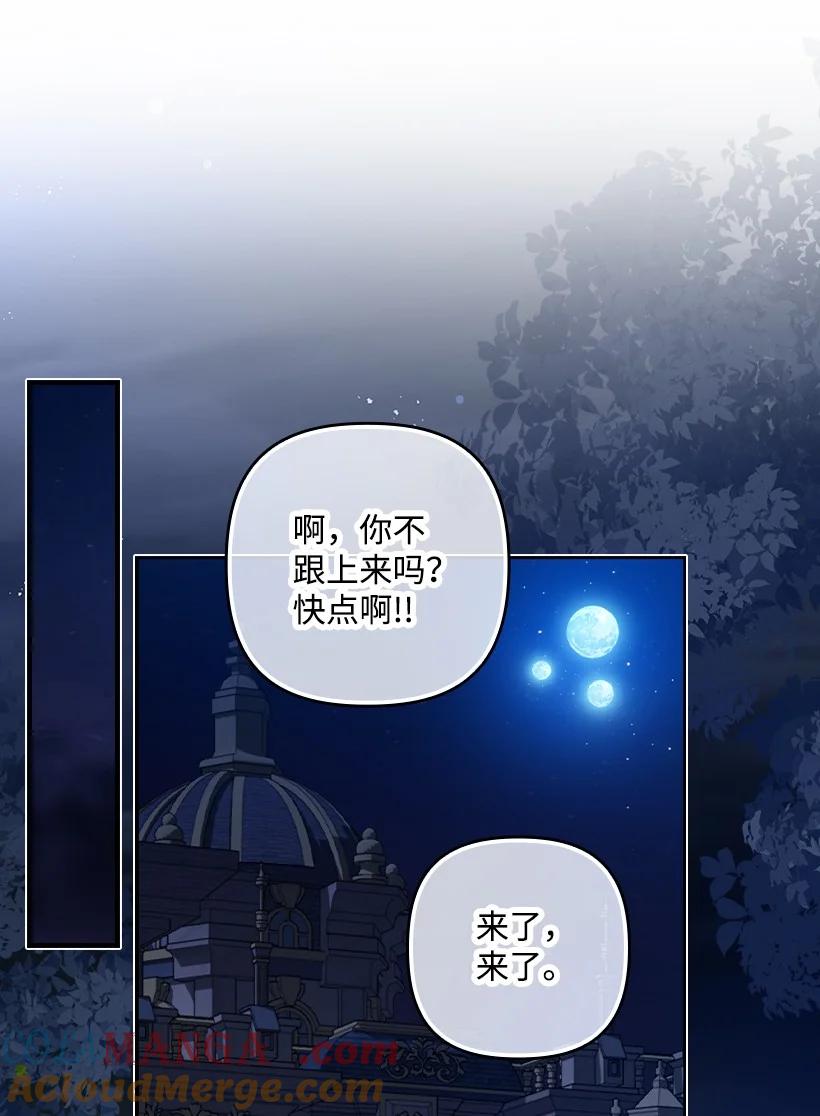 《王的贡女》番外20 开始行动 第41页