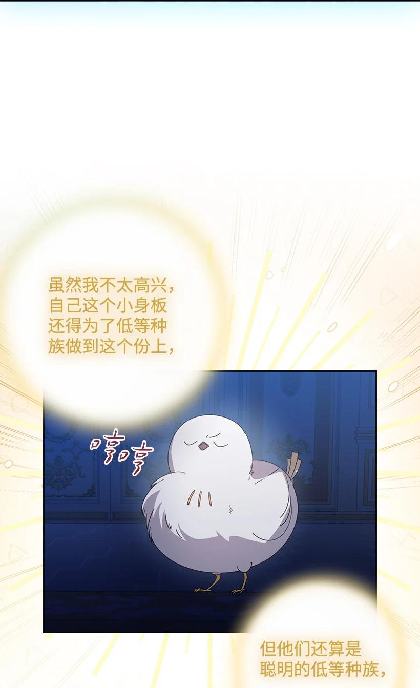 《王的贡女》番外20 开始行动 第19页