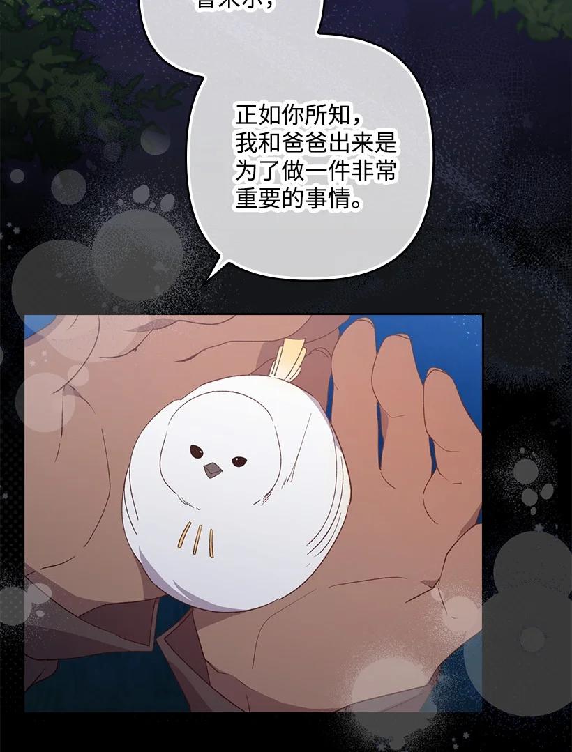 《王的贡女》番外21 奇怪的线 第30页