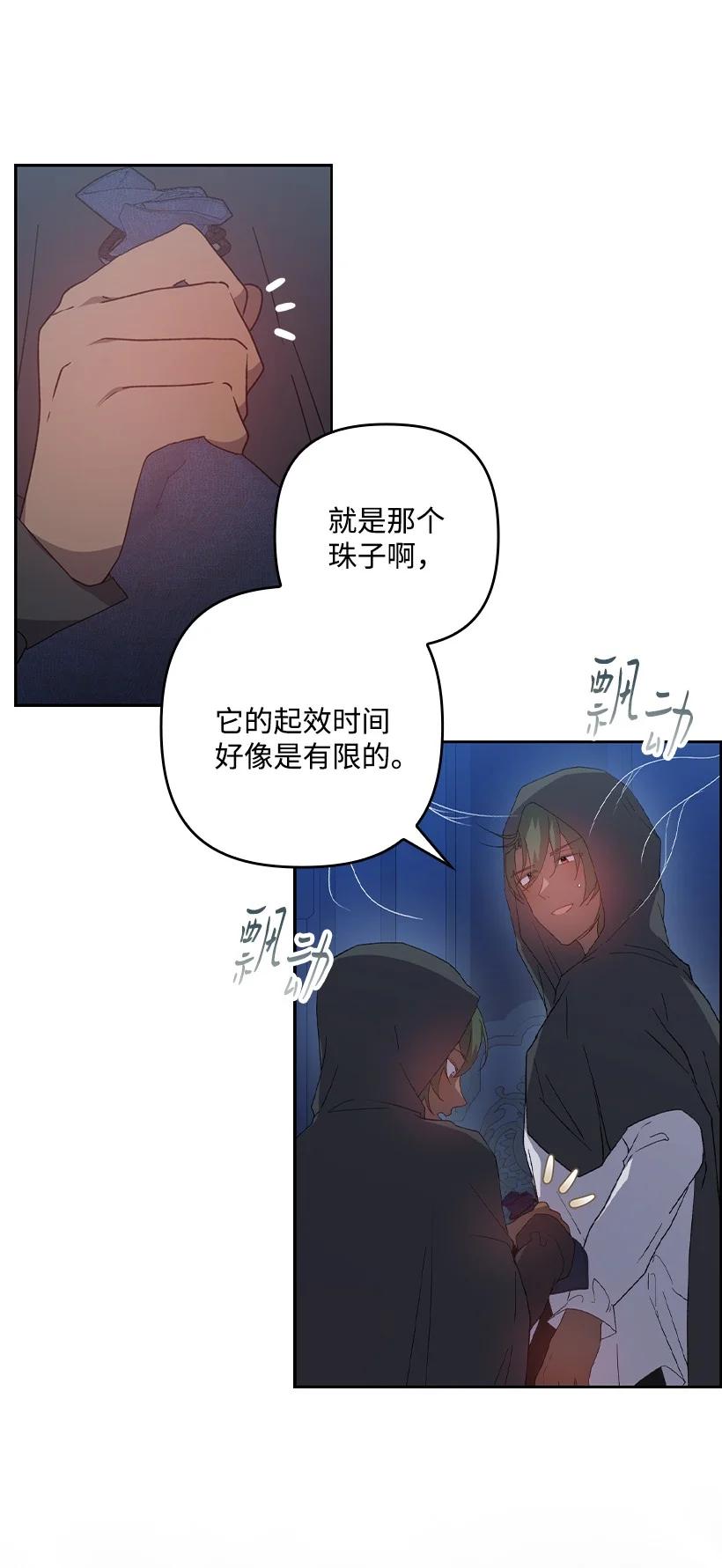 《王的贡女》番外21 奇怪的线 第66页