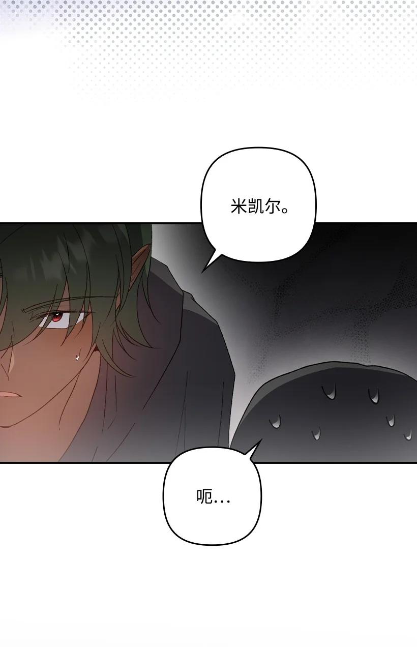 《王的贡女》番外22 千钧一发 第51页