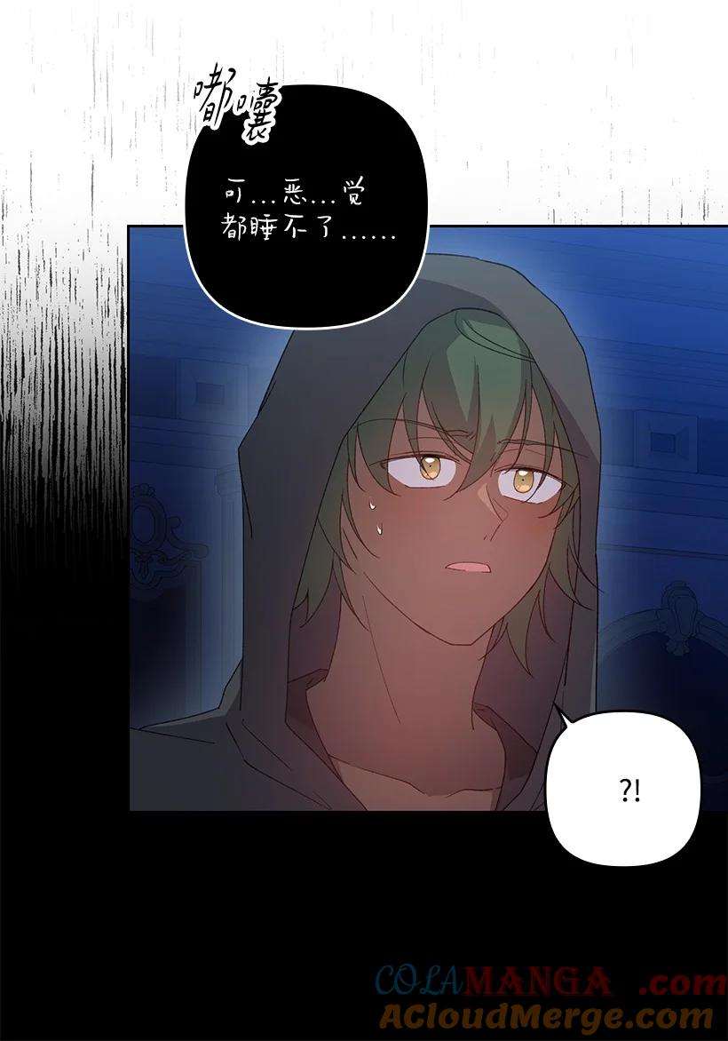 《王的贡女》番外22 千钧一发 第28页