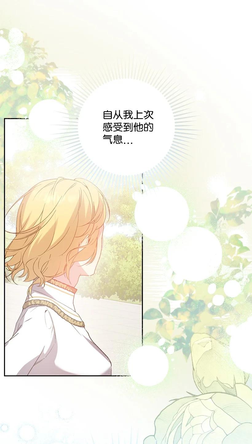 《王的贡女》番外25 悄悄外出 第11页