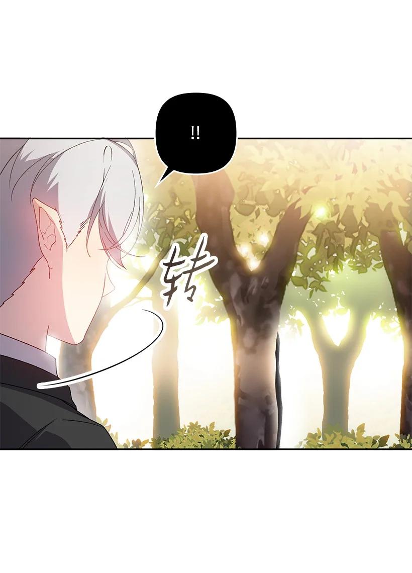 《王的贡女》番外25 悄悄外出 第59页