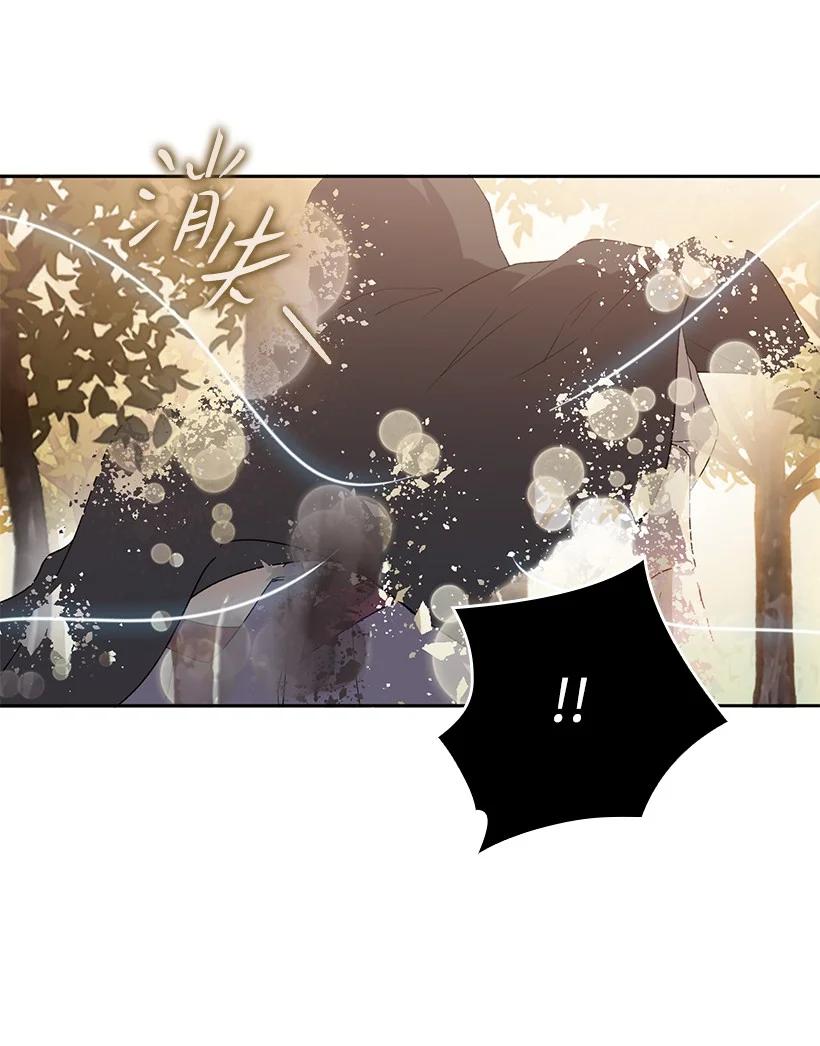 《王的贡女》番外25 悄悄外出 第62页