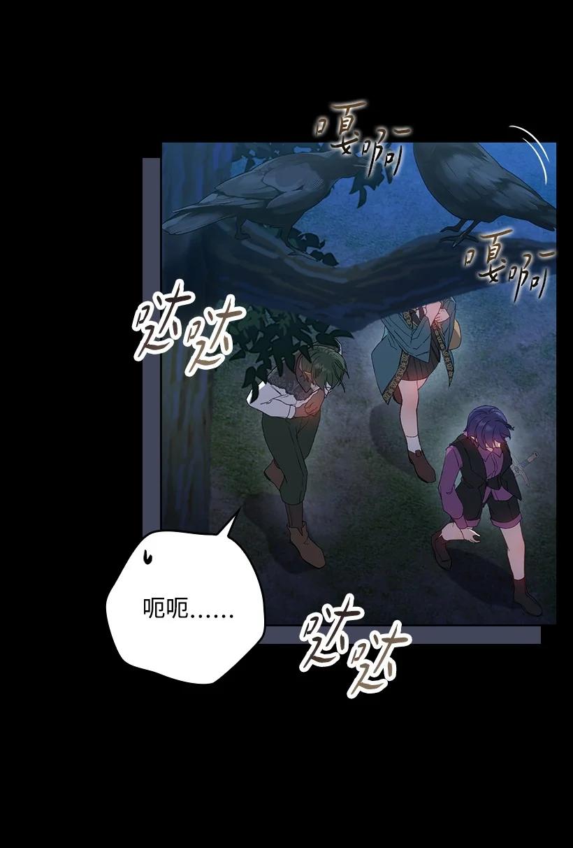 《王的贡女》番外26 再次相遇 第3页