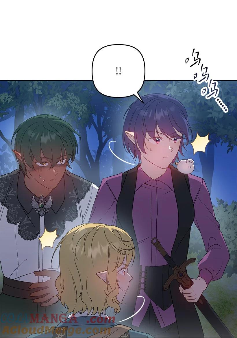 《王的贡女》番外26 再次相遇 第19页