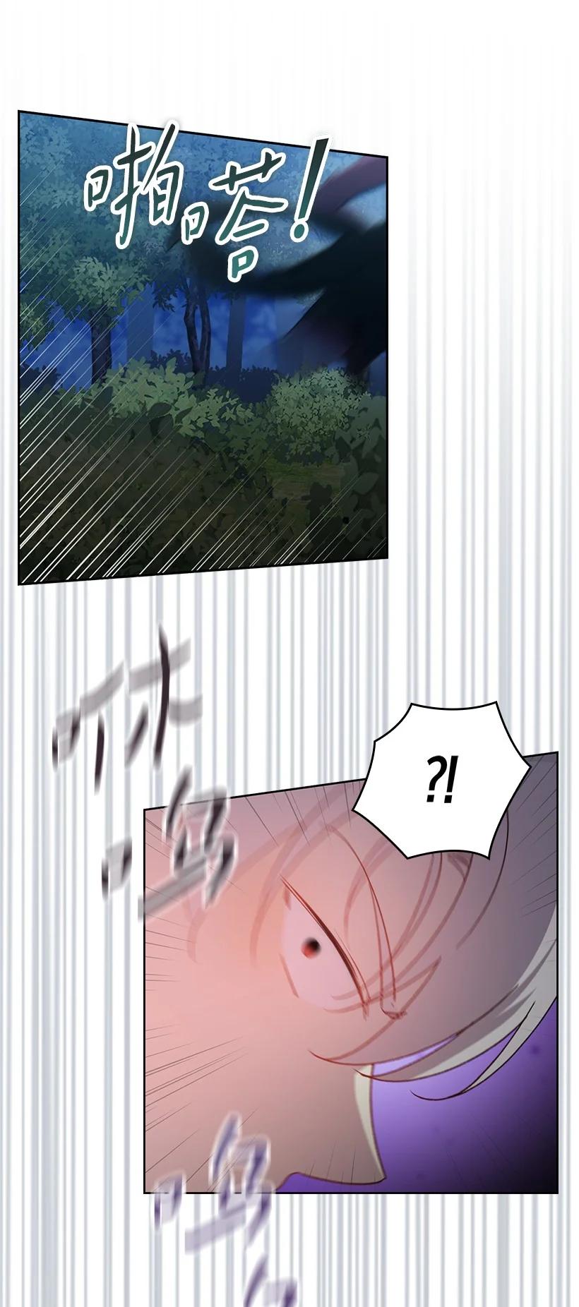 《王的贡女》番外26 再次相遇 第27页
