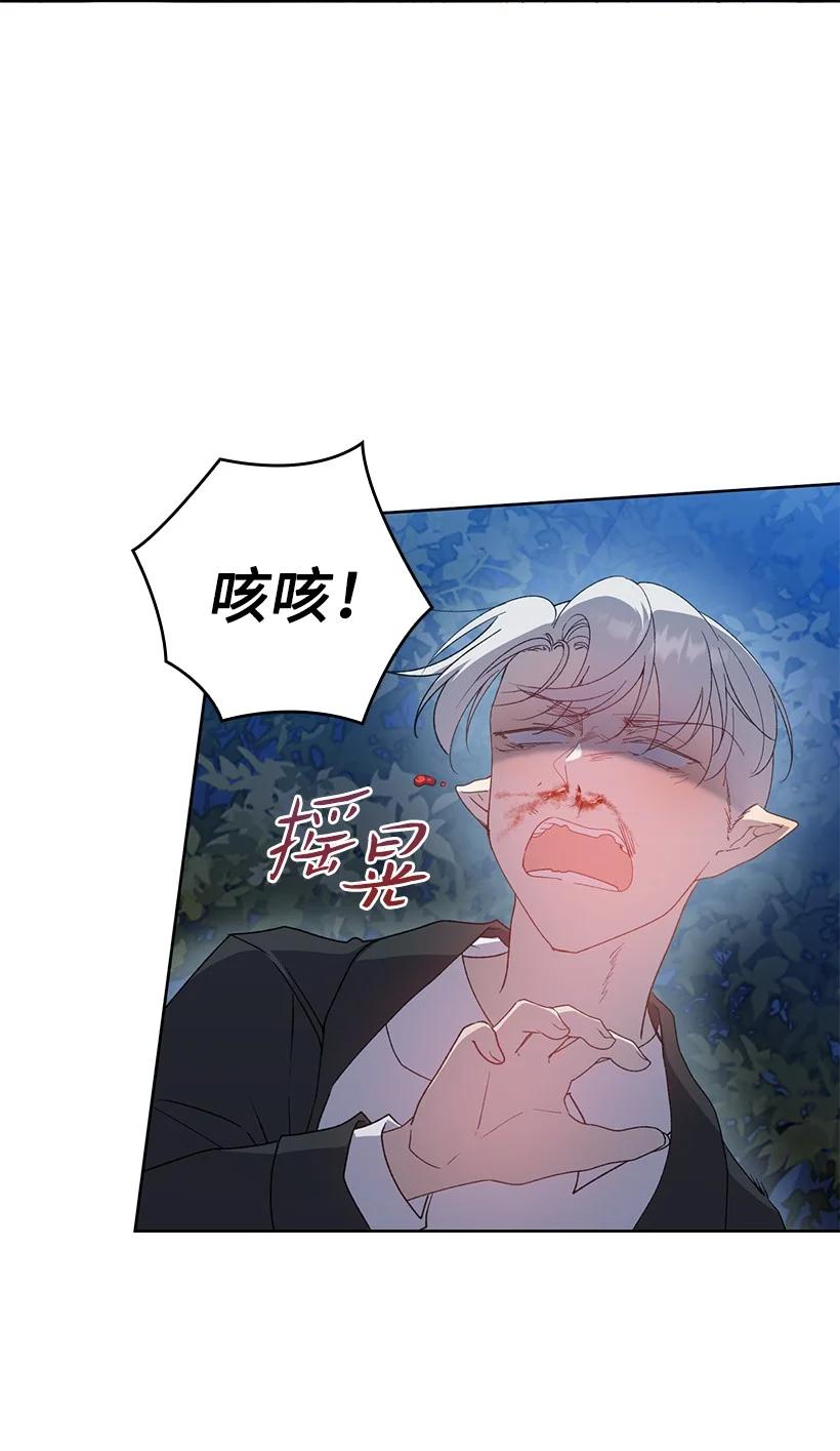 《王的贡女》番外26 再次相遇 第29页