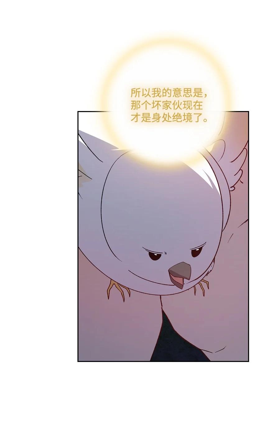《王的贡女》番外26 再次相遇 第63页