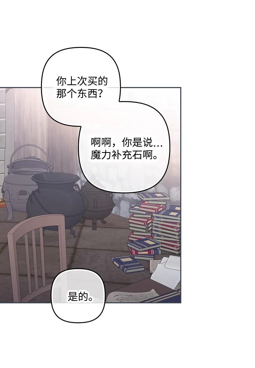 《王的贡女》番外30 她的小秘密 第54页