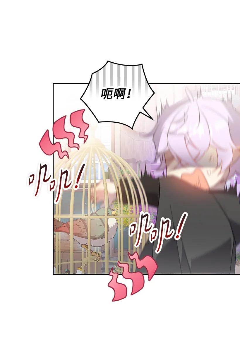 《王的贡女》番外30 她的小秘密 第50页