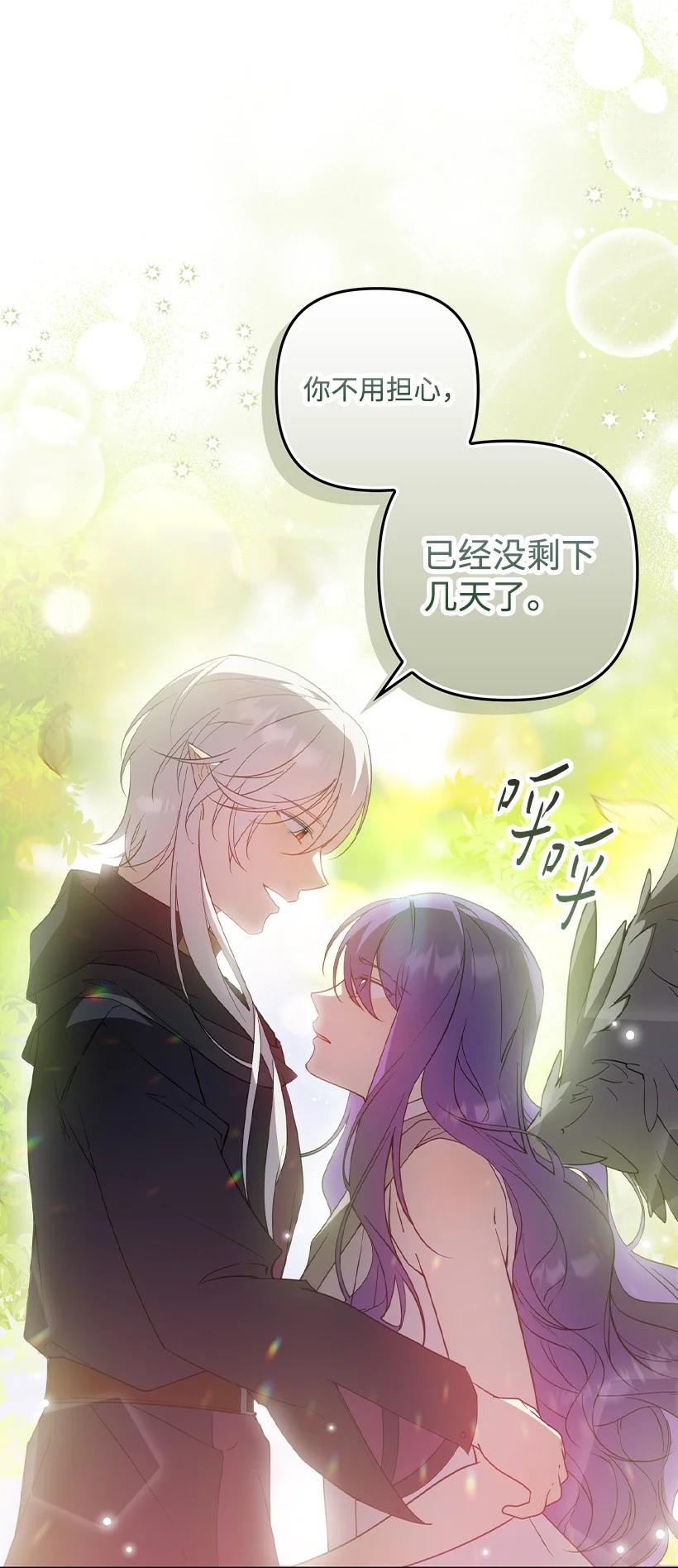 《王的贡女》番外37 时间不多了 第42页