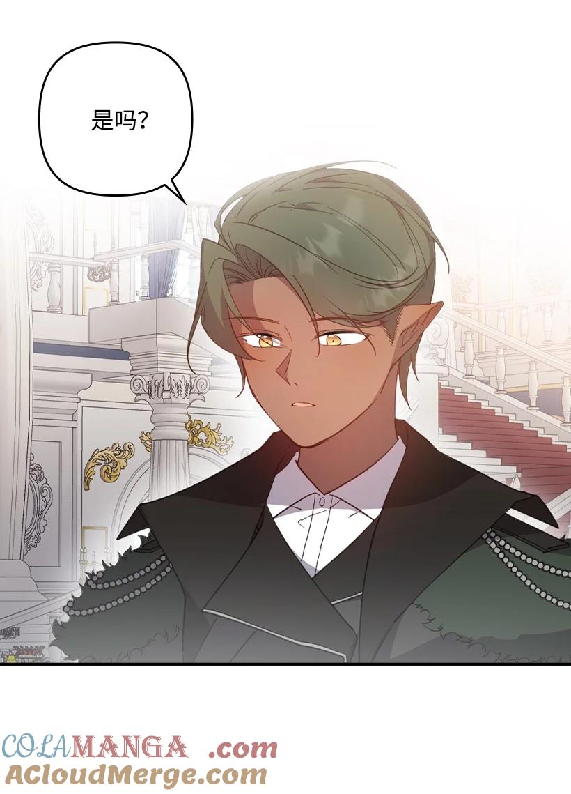 《王的贡女》番外38 宴会开始 第33页