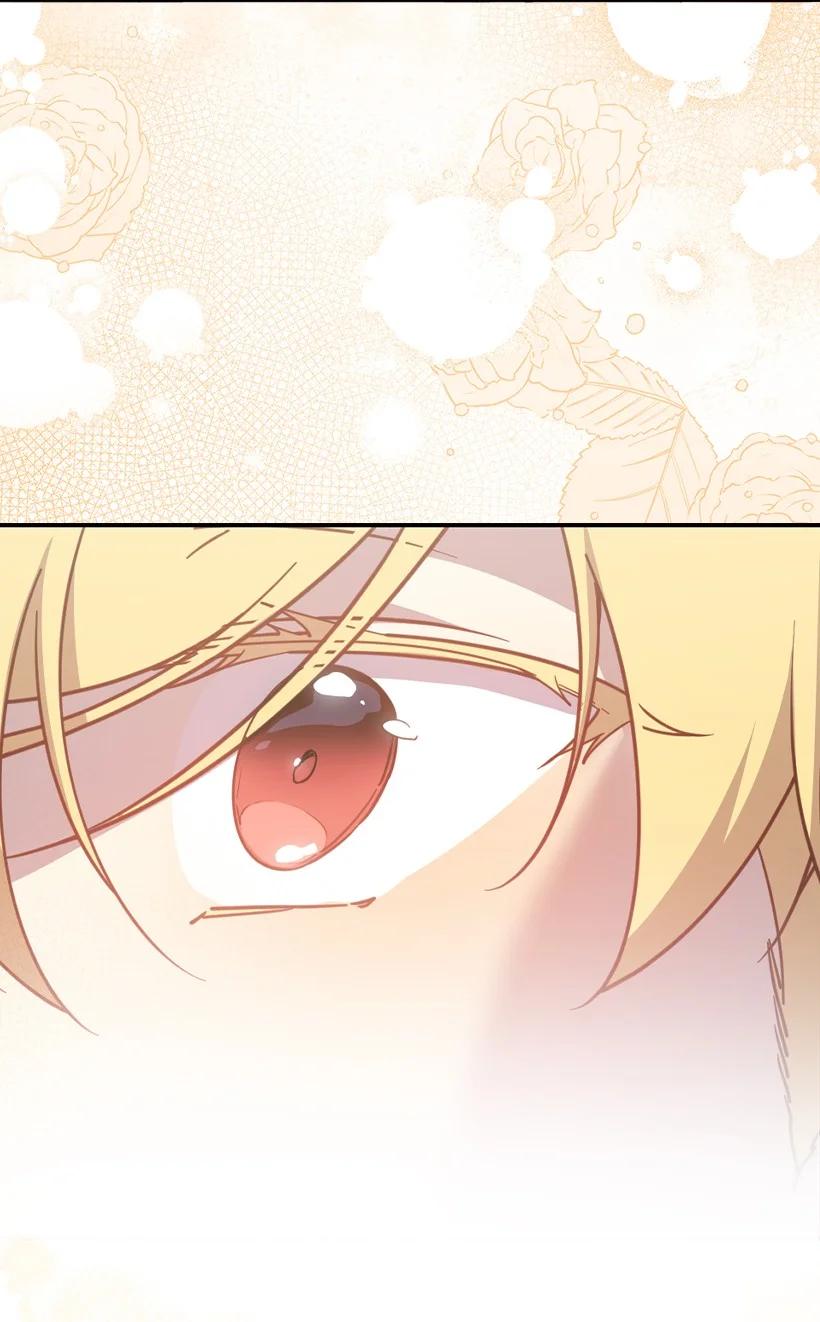 《王的贡女》番外38 宴会开始 第52页