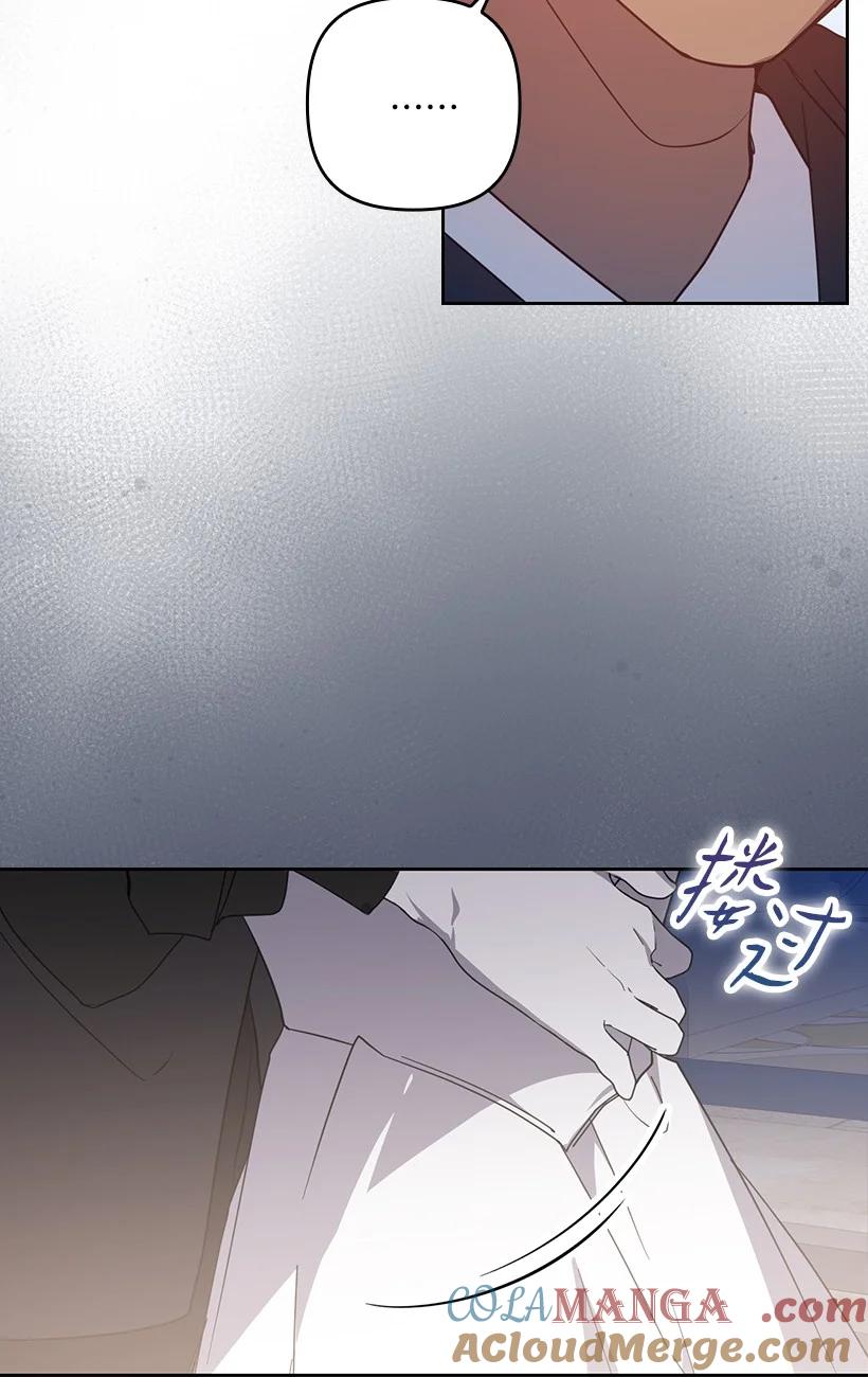 《王的贡女》番外38 宴会开始 第42页